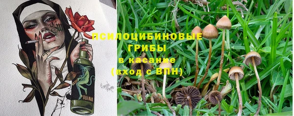 прущие крисы Нязепетровск