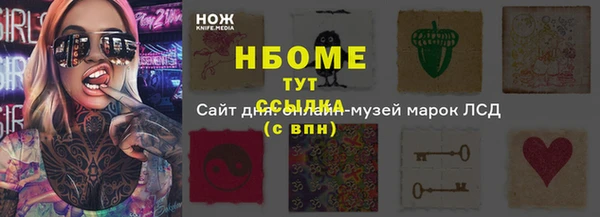 трава Няндома
