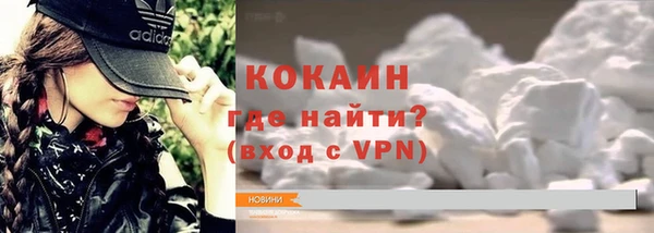 трава Няндома