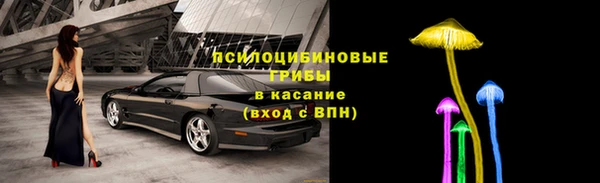 трава Няндома