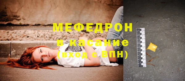 трава Няндома