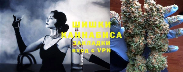 трава Няндома