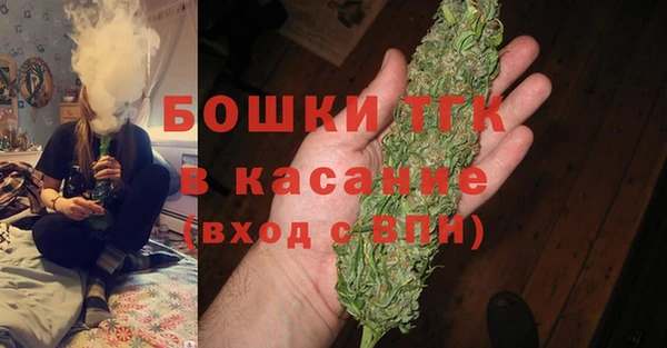 трава Няндома