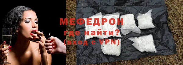 трава Няндома