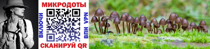 Галлюциногенные грибы ЛСД Малаховка